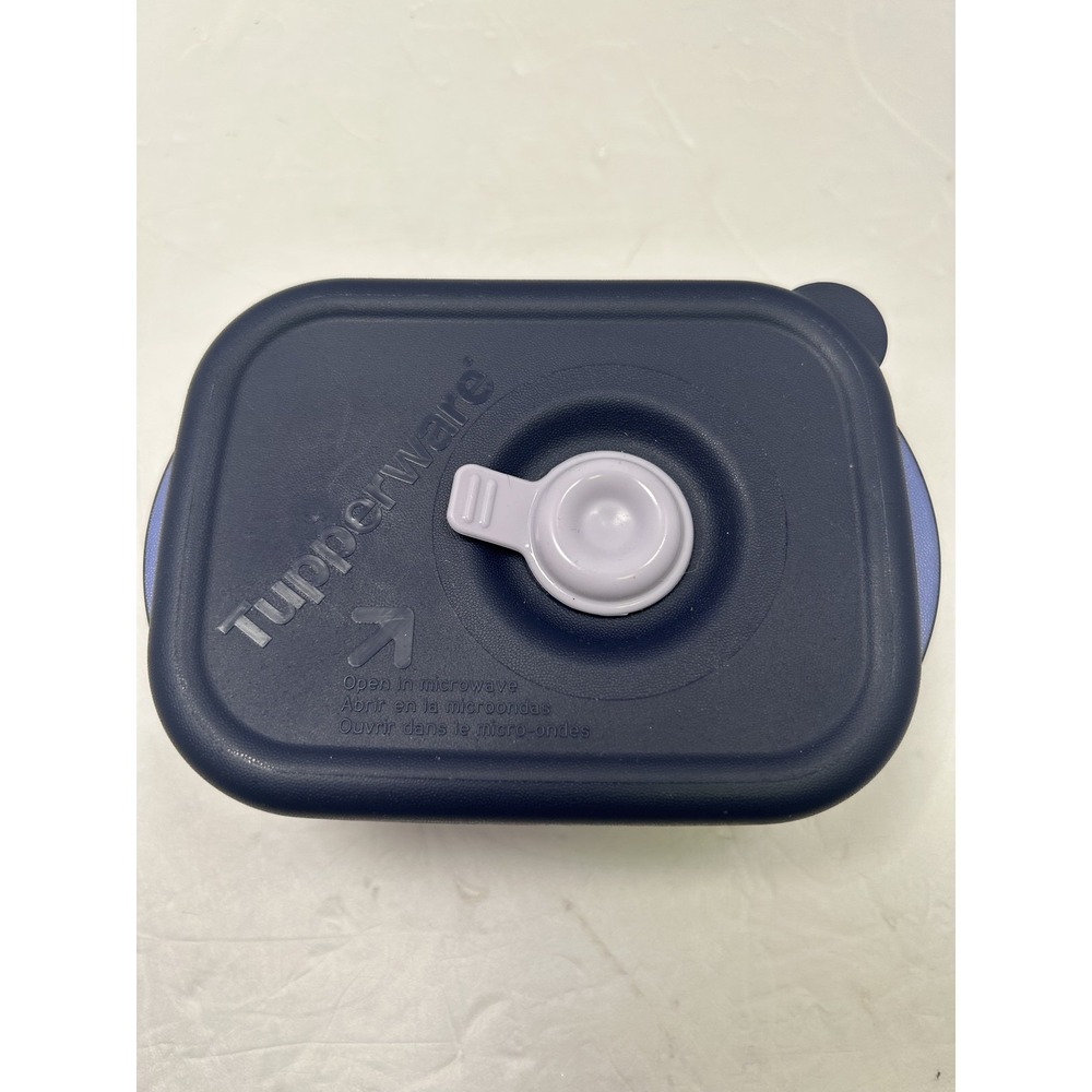 Tupperware Snack Container Blue Rectangular 8oz Vented Lid Microwave Safe